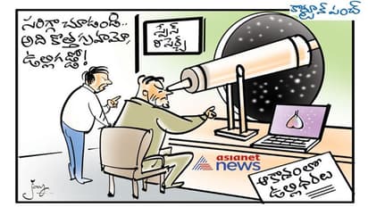 కార్టూన్ పంచ్