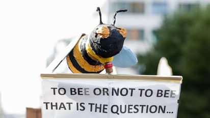 ' നിങ്ങള്‍, ഞങ്ങളുടെ തലമുറയെ വഞ്ചിച്ചു ';  കാലാവസ്ഥയ്ക്ക് വേണ്ടിയുള്ള പോരാട്ടങ്ങള്‍ കാണാം