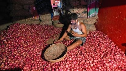ಕೈಗೆಟುಕುತ್ತಿಲ್ಲ ಈರುಳ್ಳಿ: ಬೆಲೆ ಏರಿದರೆ ದೇಶದಲ್ಲಿ ಸರ್ಕಾರಗಳೂ ಇಳೀತಾವೆ!