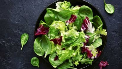 'വെജിറ്റേറിയന് ഡയറ്റാണോ? ഈ രണ്ട് പ്രശ്നങ്ങള് പരിഹരിക്കാം'