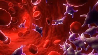 எவ்வளவு சாப்பிட்டாலும் இரத்தக் குழாய்களில் கொழுப்பு சேராமல் இருக்க என்ன செய்ய வேண்டும் தெரியுமா..?