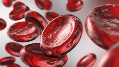 Foods to Increase Hemoglobin : രക്തത്തിലെ ഹീമോഗ്ലോബിന്റെ അളവ് കൂട്ടാൻ സഹായിക്കുന്ന 6 ഭക്ഷണങ്ങൾ