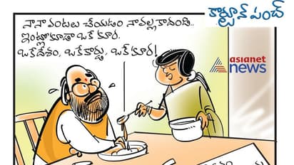 కార్టూన్ పంచ్