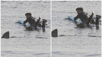 കൂറ്റന് സ്രാവിന് മുമ്പില് നിന്ന് തലനാരിഴയ്ക്ക് രക്ഷപ്പെട്ട് യുവാവ്; അപൂര്വ്വ ഫോട്ടോ വൈറല്