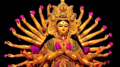 नवरात्रि: इन 9 दिनों में न करें ये काम