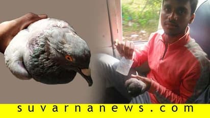 ಪಾರಿವಾಳಕ್ಕೂ ಟಿಕೆಟ್ ಕೊಟ್ಟ ನಿರ್ವಾಹಕ: ವಿದ್ಯಾರ್ಥಿ ಫುಲ್ ಶಾಕ್!