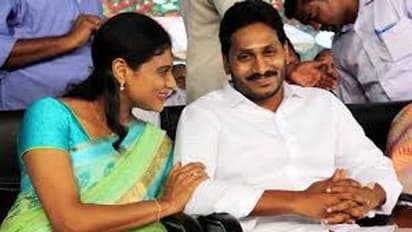 YS Sharmila: అన్నా, చెల్లి మధ్య వైరం ఎందుకు మొదలైంది? జగన్ను షర్మిల నేరుగా ఢీకొడుతారా?