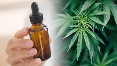 ആശുപത്രികളില്‍ ചികിത്സയ്ക്കായി പരീക്ഷണാടിസ്ഥാനത്തില്‍ കഞ്ചാവ് ഓയില്‍ ഉപയോഗിച്ച് തായ്‍ലന്‍റ്