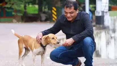 ഒറ്റയ്ക്കിരിക്കുന്ന പട്ടിക്ക് ഓണ്‍ലൈനില്‍ ഭക്ഷണം; എങ്ങനെയുണ്ട്?