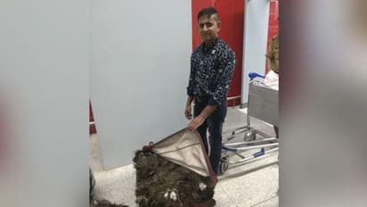 ദില്ലിയിൽ 49 കിലോ മയിൽപ്പീലികളുമായി യുവാവ് പിടിയിൽ