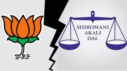 BJP says relationship with Shiromani Akali Dal remains unaffected despite differences