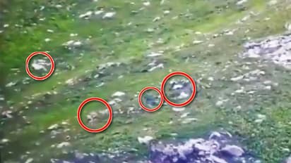 ಒಳಬಂದ ಉಗ್ರರಿಗೆ ಗುಂಡಿನ ಸ್ವಾಗತ: ಎದ್ನೊ ಬಿದ್ನೊ ಅಂತ ಓಡಿದರು ಪಾಕ್ನತ್ತ!