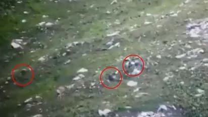 భారత జవాన్ల దెబ్బకు తోక ముడిచిన ఉగ్రవాదులు: వీడియో వైరల్