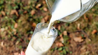 প্যাকট দুধে রোজ মেশানো হচ্ছে মারাত্মক বিষ, সমীক্ষায় উঠে এল চাঞ্চল্যকর তথ্য