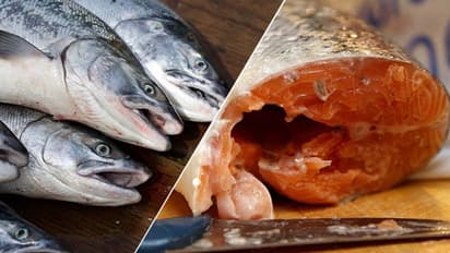 മീൻ കൂട്ടാം, ശ്രദ്ധിച്ച്