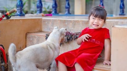 പല്ലി, പാറ്റ മുതല്‍ വളര്‍ത്തുനായയെ വരെ പേടിയാണോ? കാരണമിതാണ്...