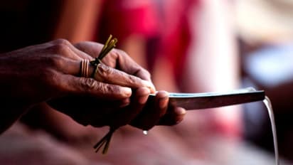 পূর্বপুরুষকে তুষ্ট করতে এই দুই কাজ করুন, কেটে যাবে জীবনের সকল খারাপ সময়