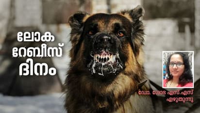 ആ മരണം ഭയാനകം, അതുകൊണ്ടുതന്നെ പേവിഷബാധ വരാതിരിക്കാൻ കരുതൽ അനിവാര്യം