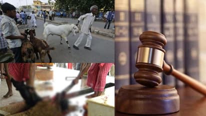 'മൃഗങ്ങള്ക്കും പക്ഷികള്ക്കും ജീവിക്കാന് അവകാശമുണ്ട്'; മൃഗബലി നിരോധിച്ച് കോടതി