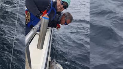 23 കോടി വിലയുള്ള മത്സ്യം ചൂണ്ടയില് കുടുങ്ങി; പക്ഷെ അവര് അതിനെ കടലിലേക്ക് തിരിച്ചുവിട്ടു.!