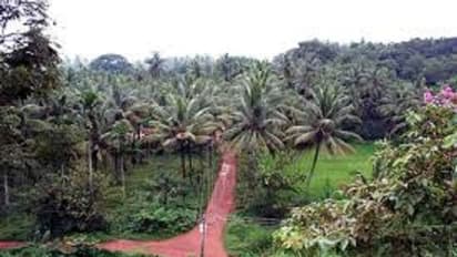 ಮಂಗಳೂರು: ಕಲ್ಲಮುಂಡ್ಕೂರು ಗ್ರಾಮಕ್ಕೆ ಗಾಂಧಿ ಗ್ರಾಮ ಪುರಸ್ಕಾರ