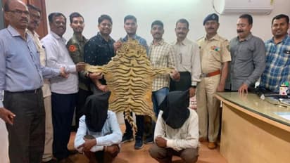পুনেতে উদ্ধার ৫ লক্ষ টাকা মূল্যের বাঘের ছাল, পুলিশের জালে দুই অভিযুক্ত