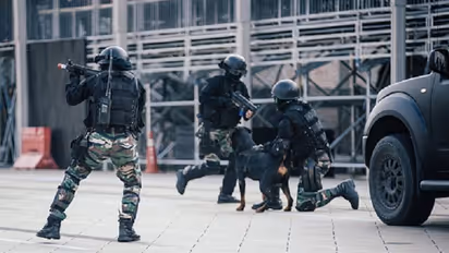 3 years of surgical strike: Experience the thrill with this shooting game