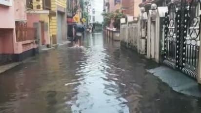 বৃষ্টি থাকছে আরও ৪৮ ঘণ্টা,আগমনীর আবহাওয়ায় জলমগ্ন কলকাতা