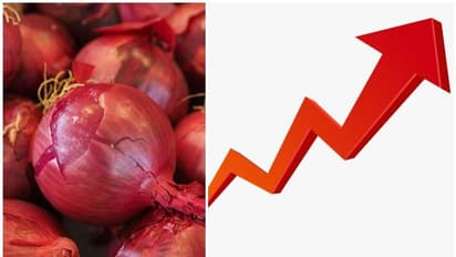 ഉള്ളിക്കയറ്റുമതി നിരോധിച്ച് കേന്ദ്രസർക്കാർ: നീക്കം വില നിയന്ത്രിക്കാൻ