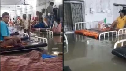 ബിഹാറിൽ പ്രളയത്തിൽ മുങ്ങി ആശുപത്രികൾ; ദുരിതത്തിൽ രോഗികൾ, മരണം 73 ആയി