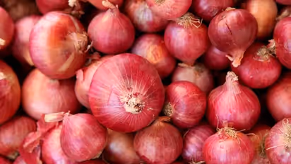 ಬೆಲೆ ಏರಿಕೆಗೆ ಬ್ರೇಕ್; ಈರುಳ್ಳಿ ರಫ್ತಿಗೆ ಕೇಂದ್ರದ ನಿಷೇಧ