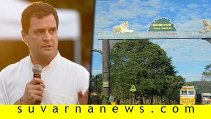 ಬಂಡೀಪುರ ರಾತ್ರಿ ಸಂಚಾರ ನಿಷೇಧ: ಕೇರಳ ಪರ ನಿಂತ ರಾಹುಲ್!