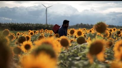 'ഡെയ്സിക്ക് സ്നേഹപൂര്വ്വം'; റോഡ് റീല് മത്സരത്തില് ഇടംനേടി ഒരു മലയാളം ഹ്രസ്വചിത്രം