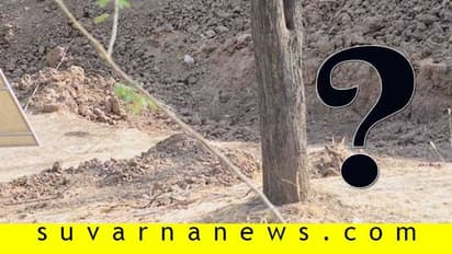 ಕಣ್ಣೆದುರೇ ಇದ್ರು ಕಾಣ್ಸಲ್ಲ....! ವೈರಲ್ ಆಗ್ತಿರೋ ಈ ಫೋಟೋದಲ್ಲಿ ಚಿರತೆ ಹುಡುಕ್ಬಹುದಾ?