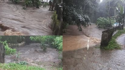 കോട്ടൂർ വനമേഖലയിൽ മലവെള്ളപ്പാച്ചിൽ: ആശങ്കപ്പെടേണ്ട സാഹചര്യമില്ലെന്ന് റവന്യൂ അധികൃതർ