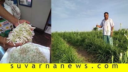 ಪಾಳು ಭೂಮಿಯಲ್ಲಿ ಹೂವು ಬೆಳೆದ ಲಾಯರ್!