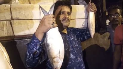 পুজোর আগে সম্পর্কের দূত, ৭ বছর পর বাংলাদেশের ইলিশ পেল ভারত