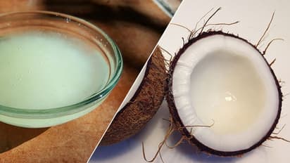 'ശുദ്ധ'മായ വെളിച്ചെണ്ണ!