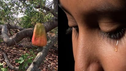 கணவனை பிரிந்த பெண்ணை முந்திரி தோப்பில் வைத்து கற்பழித்த அதிமுக ஒ.பொ... மிரட்டியே காமவெறியை தீர்த்துக்கொண்ட கோரம்!!