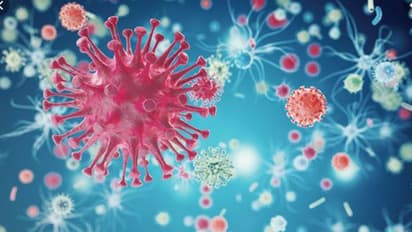 ക്യാന്‍സര്‍ പിടിപെടുന്നതിന് പിന്നിലെ 4 കാരണങ്ങൾ