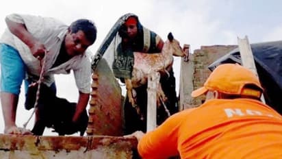 Bihar floods: Rescue operations intensify as death toll touches 42