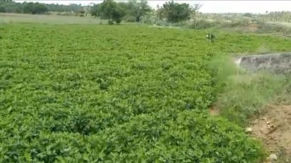 செல்போனில் ஒரு டச் போதும்..! பயிர்களுக்கு தேவையான தண்ணீர் பாய்ந்து வரும்..! விவசாயிகளுக்கு உதவ புதிய நடைமுறை அறிமுகம்..!