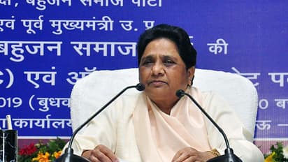 जानें क्यों उपचुनाव हार के बाद माया ने फिर भंग की सभी जिला इकाइयां