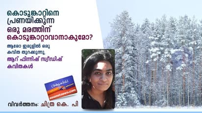 ആരോ ഇരുളില്‍ ഒരു കവിത തുറക്കുന്നു, ആറ് ഫിന്നിഷ് സ്വീഡിഷ് കവിതകള്‍