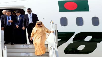 পদ্মার ইলিশ পাঠিয়ে এবার ভারতে এলেন হাসিনা, মোদীর সঙ্গে বৈঠক শনিবার