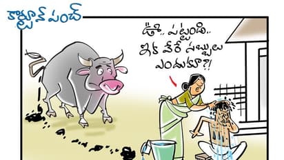 కార్టూన్ పంచ్