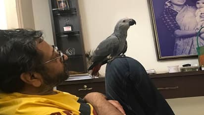 ಬಿಗ್ ಬಾಸ್ ಮನೆಗೆ ಬೆಳಗೆರೆ, 'ಟೈಗರ್ ಜಿಂದಾ ಹೈ’