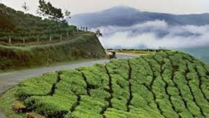 ഇടുക്കിയിലെ ഭൂപതിവ് ചട്ട ഭേദഗതി: 26ന് ജില്ലയിൽ യുഡിഎഫ് ഹർത്താൽ