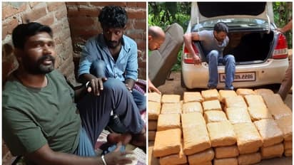 തൃശ്ശൂരിൽ വൻ കഞ്ചാവ് വേട്ട; 220 കിലോ കഞ്ചാവുമായി രണ്ട് യുവാക്കൾ പിടിയില്‍