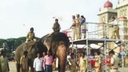 ಮೈಸೂರು: ಗಜಪಡೆ, ಪೊಲೀಸ್ ತುಕಡಿ ತಾಲೀಮು